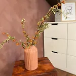 Apartment In Town Centre