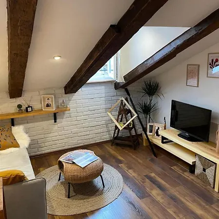 In Town Centre Apartment Rijeka